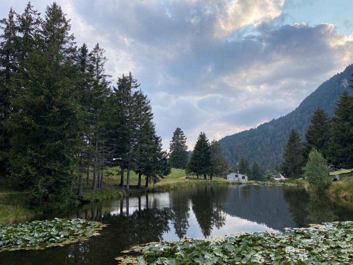 Do-Minus Boutique Home & Private Spa Ca Pedrot Mountain Cottage Monte Carasso Exteriör bild