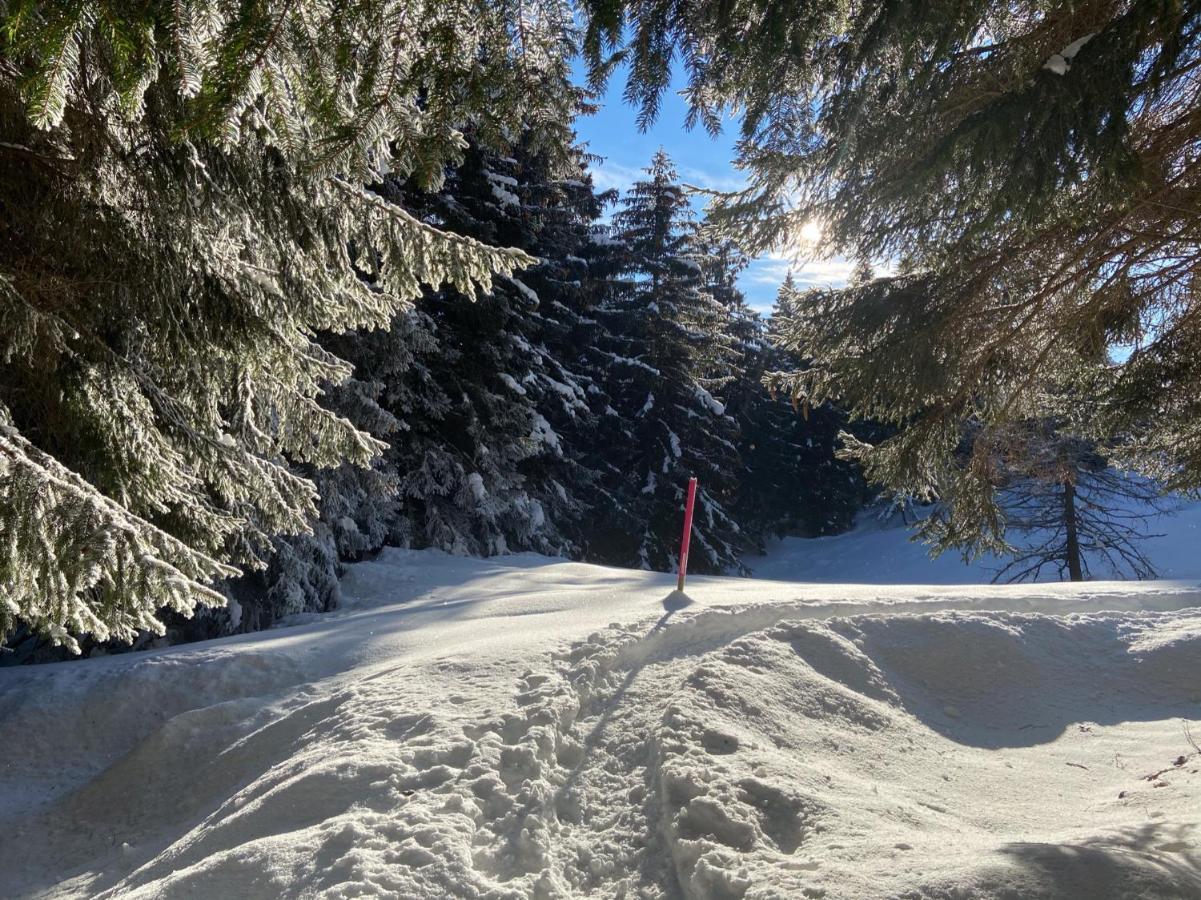 Do-Minus Boutique Home & Private Spa Ca Pedrot Mountain Cottage Monte Carasso Exteriör bild