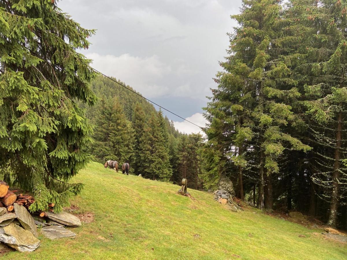 Do-Minus Boutique Home & Private Spa Ca Pedrot Mountain Cottage Monte Carasso Exteriör bild