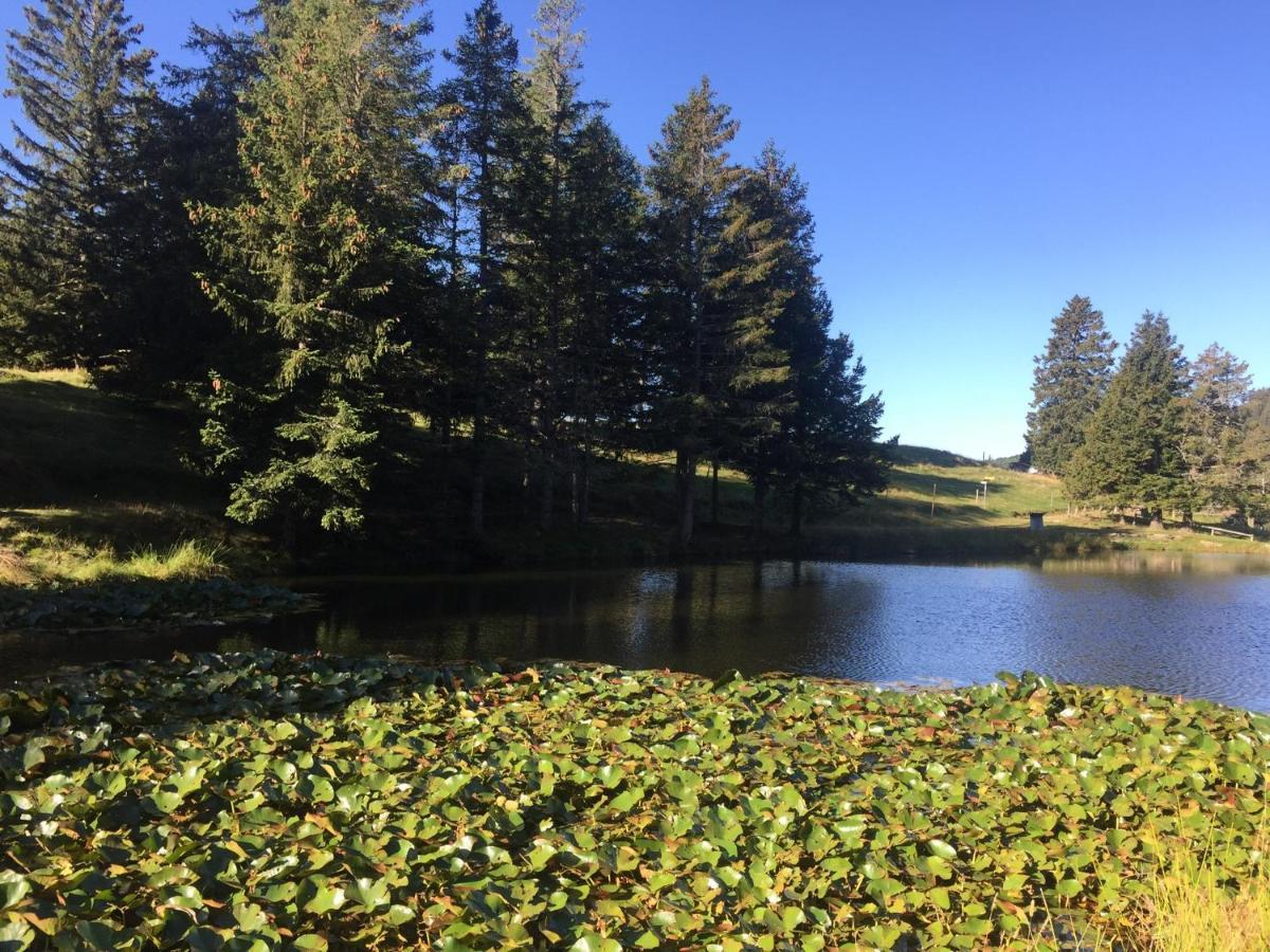 Do-Minus Boutique Home & Private Spa Ca Pedrot Mountain Cottage Monte Carasso Exteriör bild