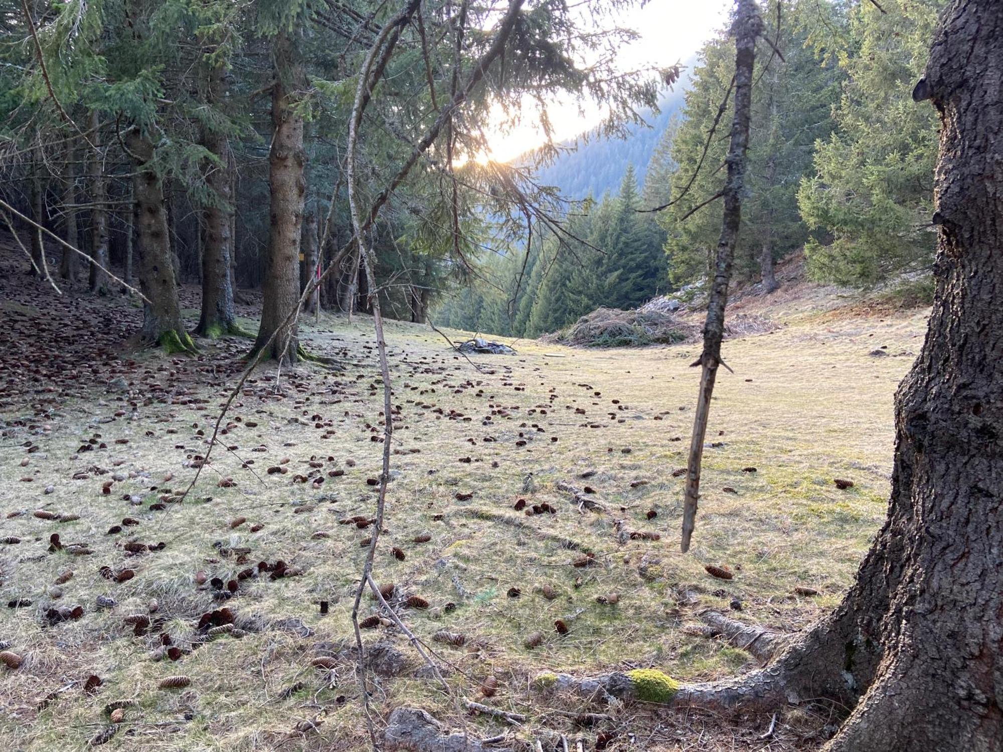 Do-Minus Boutique Home & Private Spa Ca Pedrot Mountain Cottage Monte Carasso Exteriör bild
